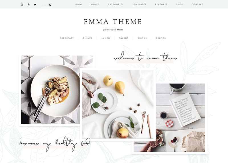 Emma wordpress theme