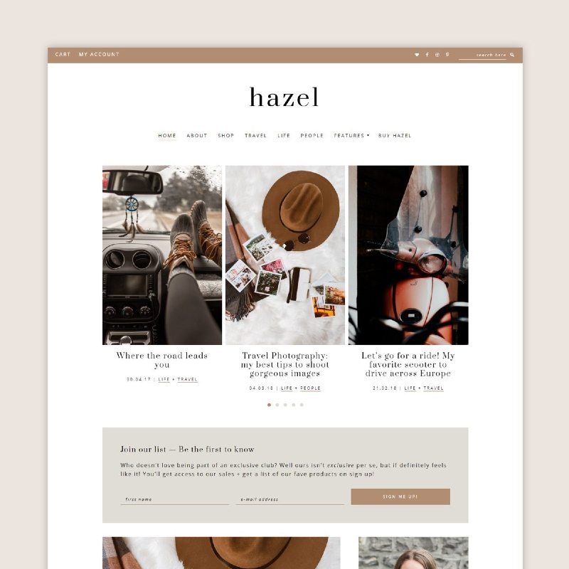 hazel wordpress theme