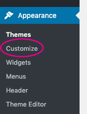 wordpress customize settings