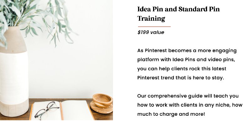pinterest va bonus - idea pin and standard pin training